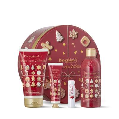 BISCUIT BOX DELIZIE SOTTO L'ALBERO