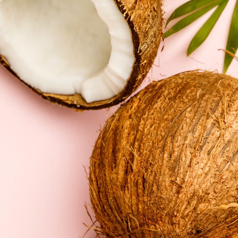 Coconut